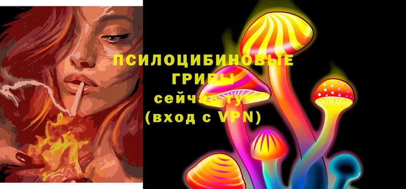 закладки  Тюмень  Псилоцибиновые грибы MAGIC MUSHROOMS 